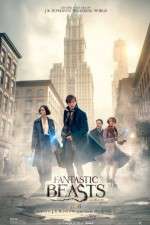 Watch Fantastic Beasts and Where to Find Them Wolowtube