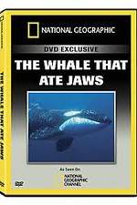 Watch Predator CSI The Whale That Ate Jaws Wolowtube
