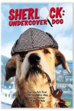 Watch Sherlock Undercover Dog Wolowtube