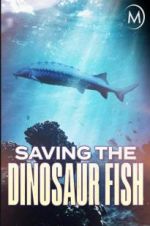 Watch Saving the Dinosaur Fish Wolowtube