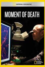 Watch National Geographic Moment of Death Wolowtube