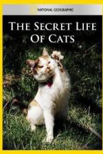 Watch National Geographic The Secret Life of Cats Wolowtube