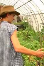 Watch Green House Seeds Strain Hunters India Expedition Wolowtube
