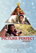 Watch A Picture Perfect Holiday Wolowtube