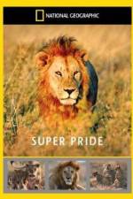 Watch National Geographic: Super Pride Africa\'s Largest Lion Pride Wolowtube