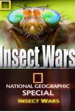 Watch National Geographic Insect Wars Wolowtube
