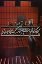 Watch The Magic of David Copperfield VII Familares Wolowtube