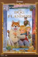 Watch The Dog of Flanders Wolowtube