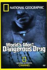 Watch Worlds Most Dangerous Drug Wolowtube
