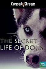 Watch Secret Life of Dogs Wolowtube