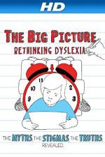 Watch The Big Picture Rethinking Dyslexia Wolowtube