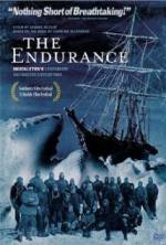 Watch The Endurance Wolowtube