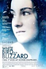 Watch White Bird in a Blizzard Wolowtube