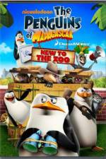 Watch Penguins of Madagascar New to the Zoo Wolowtube