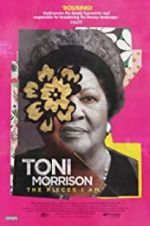 Watch Toni Morrison: The Pieces I Am Wolowtube