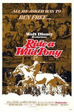 Watch Ride a Wild Pony Wolowtube