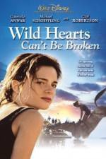 Watch Wild Hearts Can't Be Broken Wolowtube
