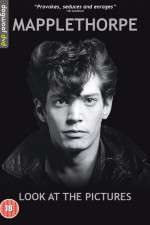 Watch Mapplethorpe: Look at the Pictures Wolowtube