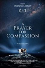 Watch A Prayer for Compassion Wolowtube