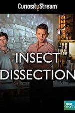 Watch Insect Dissection: How Insects Work Wolowtube