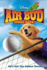 Watch Air Bud Spikes Back Wolowtube