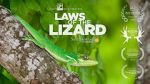 Watch Laws of the Lizard Wolowtube