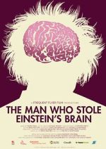 Watch The Man Who Stole Einstein\'s Brain Wolowtube