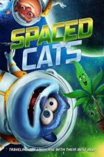 Watch Spaced Cats Wolowtube