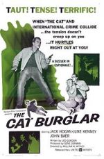 Watch The Cat Burglar Wolowtube