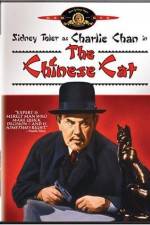 Watch Charlie Chan in The Chinese Cat Wolowtube