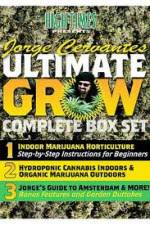 Watch Jorge Cervantes Ultimate Grow Complete Box Set Wolowtube