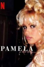 Watch Pamela, a Love Story Wolowtube