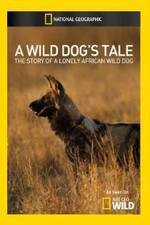 Watch A Wild Dogs Tale Wolowtube