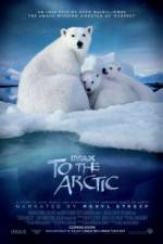 Watch To the Arctic 3D Wolowtube