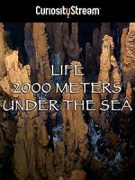 Watch Life 2,000 Meters Under the Sea Wolowtube