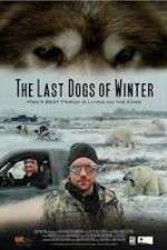 Watch The Last Dogs of Winter Wolowtube