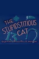 Watch The Stupidstitious Cat Wolowtube