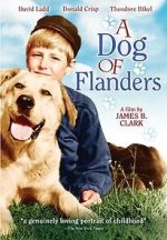 Watch A Dog of Flanders Wolowtube