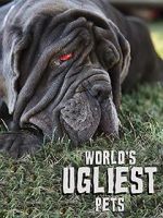Watch World\'s Ugliest Pets Wolowtube