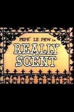 Watch Really Scent (Short 1959) Wolowtube