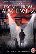 Watch The Escape from Auschwitz Wolowtube