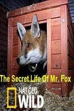 Watch The Secret Life of Mr. Fox Wolowtube