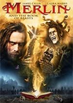 Watch Merlin and the Book of Beasts Wolowtube