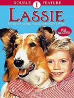 Watch Lassie: A New Beginning Wolowtube