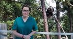Watch Sue Perkins and the Chimp Sanctuary Wolowtube