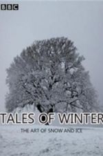 Watch Tales of Winter: The Art of Snow and Ice Wolowtube