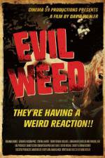 Watch Evil Weed Wolowtube