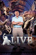 Watch David Attenborough\'s Natural History Museum Alive Wolowtube
