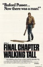 Watch Final Chapter: Walking Tall Wolowtube