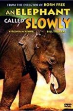 Watch An Elephant Called Slowly Wolowtube
